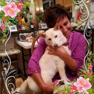 Meet your Posher, Sandy